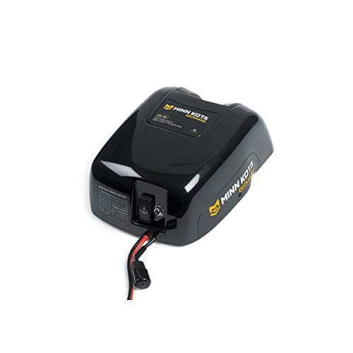 Electric Boat Anchor Winch with Horizontal Mount Davit, 40 lb Capacity, 100 ft Nylon Rope & Mounting Hardware