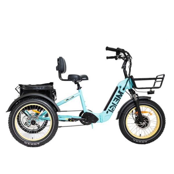 750W Foldable Electric Trike - 48V 14Ah Fat Tire 3 Wheel E-Bike with Baskets