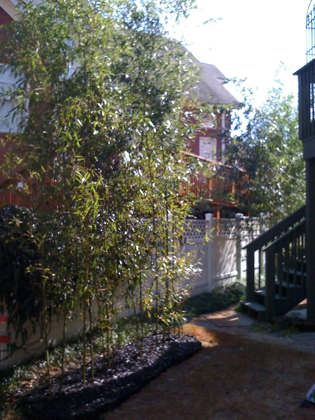 40 feet Long x 24 inch x 60 mil - Bamboo Root Barrier/Water Barrier