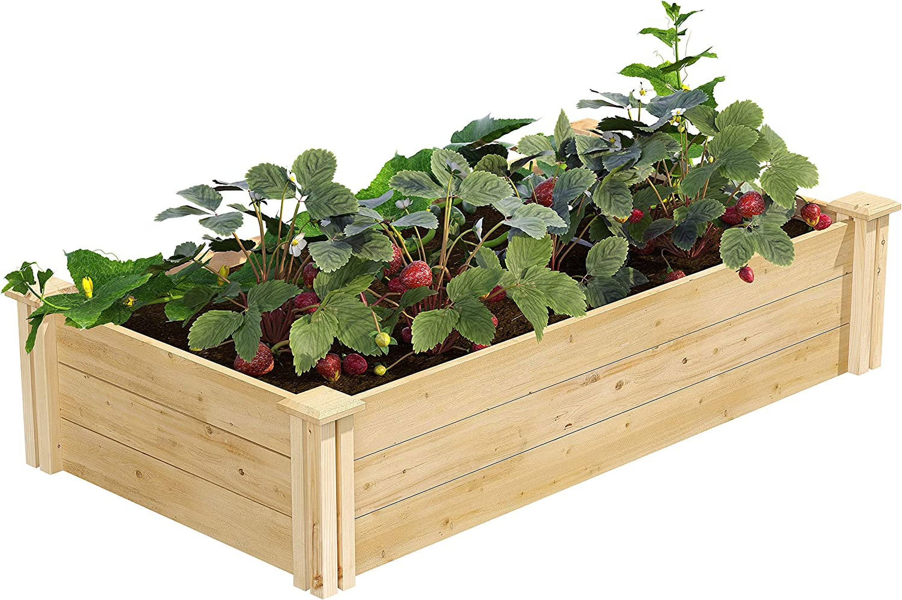 Original Cedar Raised Garden Bed, 2' x 4' x 10.5" - Made in with North Cedar