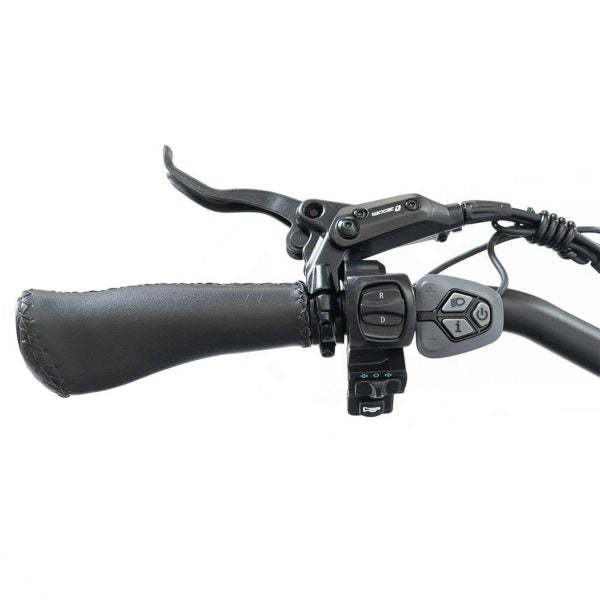 750W Foldable Electric Trike - 48V 14Ah Fat Tire 3 Wheel E-Bike with Baskets