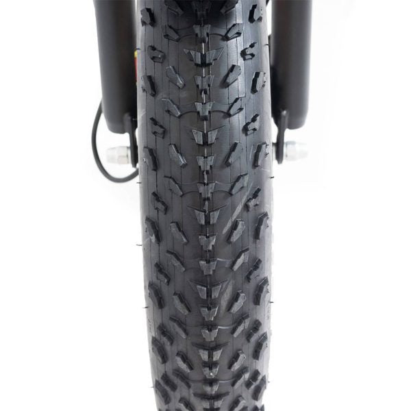 750W Foldable Electric Trike - 48V 14Ah Fat Tire 3 Wheel E-Bike with Baskets